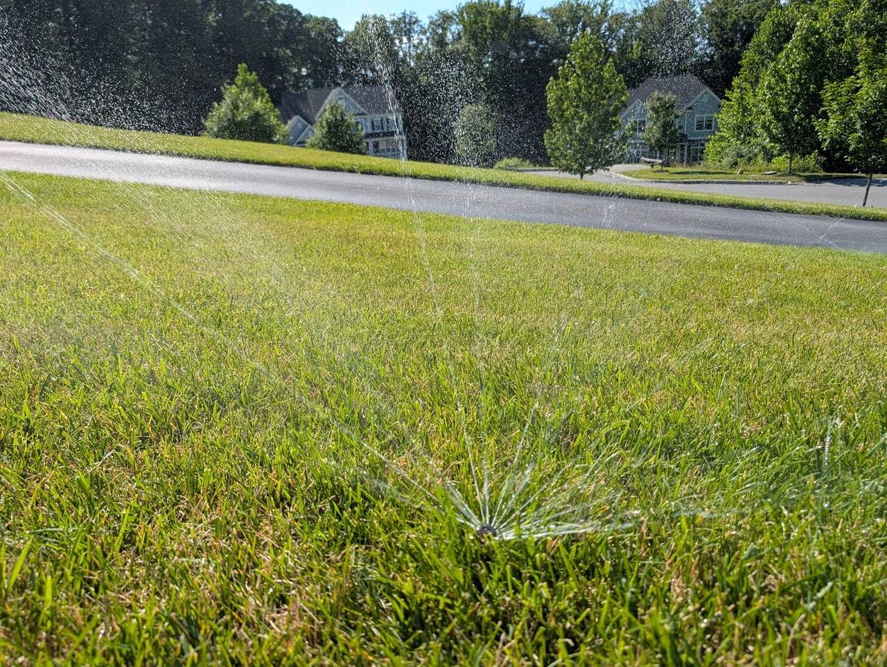Low-angle view of an irrigation sprinkler spraying a wide radial fan of water across a green lawn with neighborhood homes behind in Newtown Square, PA