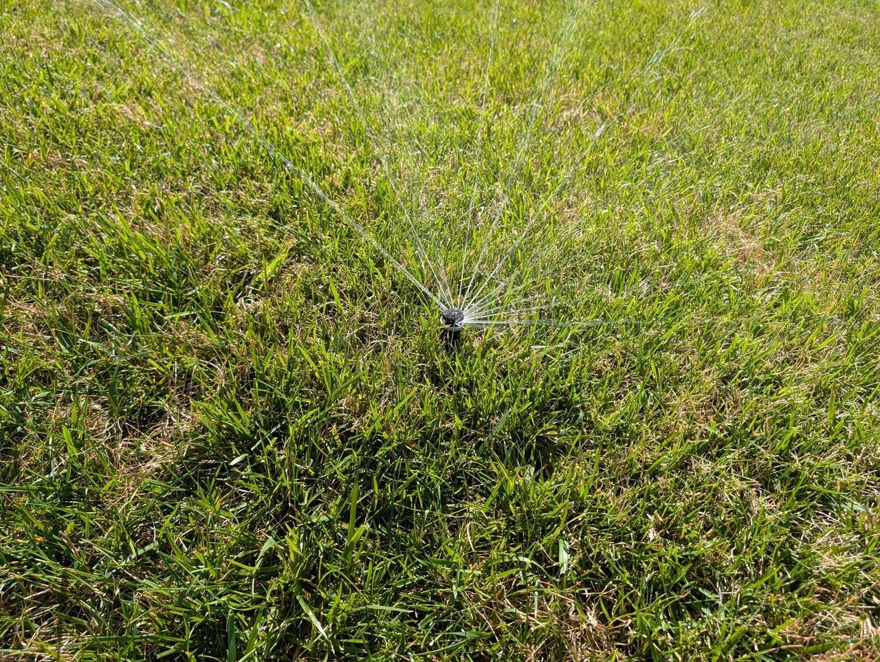 Close-up of a rotary pop-up sprinkler head fanning water across a healthy green lawn during a sprinkler tune-up
